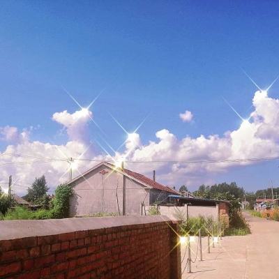 逸仙诀360手游下载